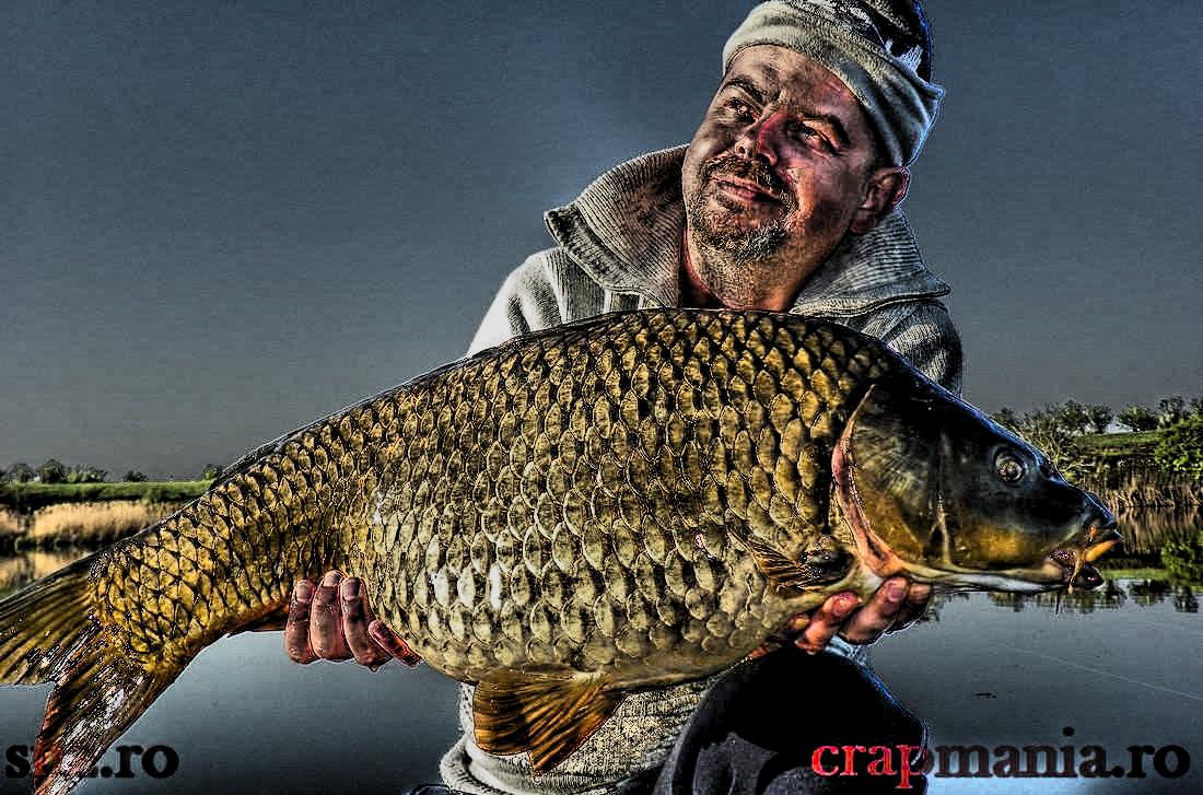 Trofeul Tancabesti (2) - 2013 - 1010399hdrmode3.jpg